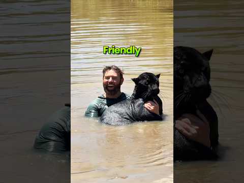 Friendly or Not Friendly?