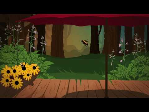 To Name All the Bees in the Backyard (For Barry) (Official Audio)
