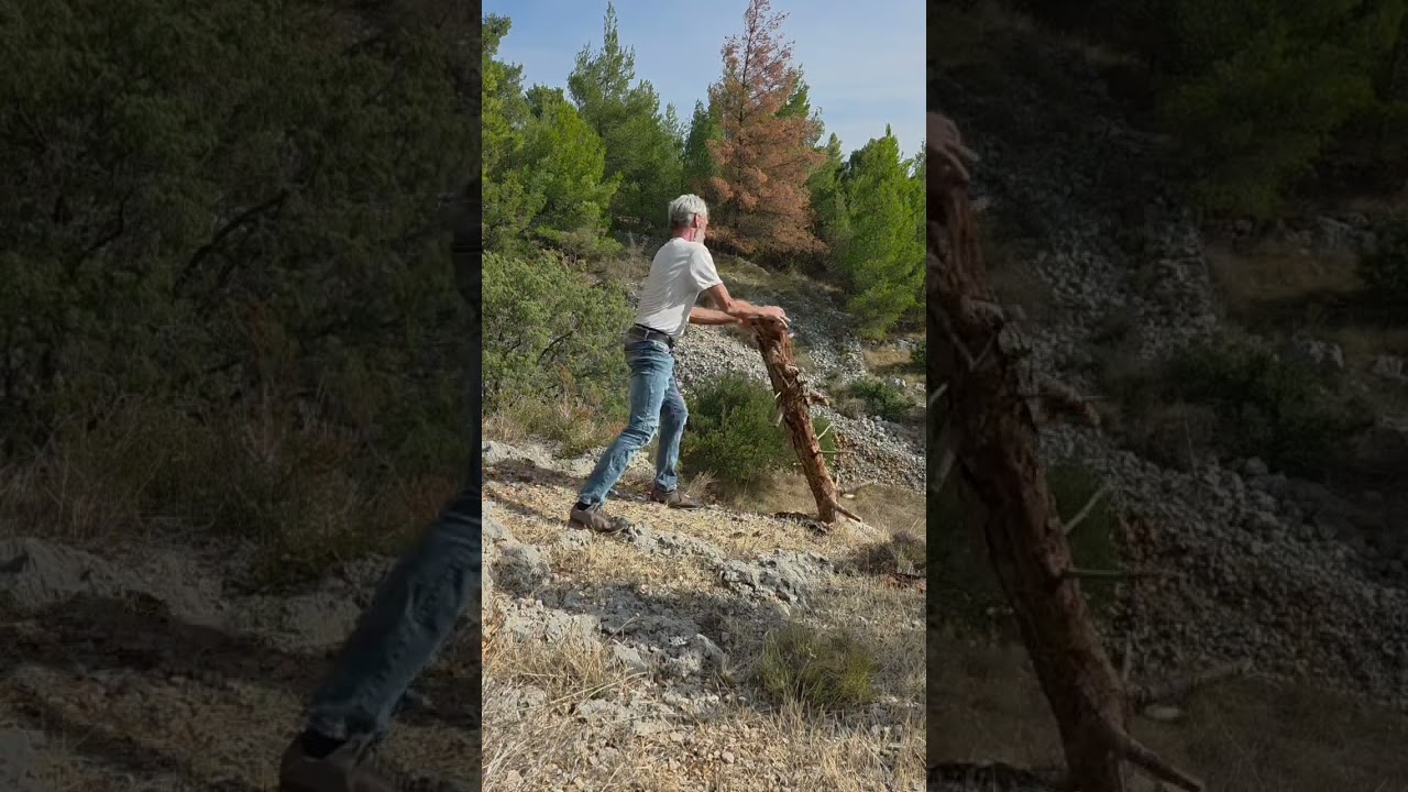 Escape to the Countryside | Simple Life and Tiny House Living #naturlove #simplelife #fyp #tinyhome