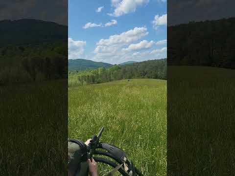 Introducing the Vortek StrikerFire LDR