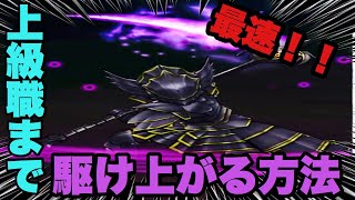 【DQW】今だからできる最速レベル上げ方法！　上級職まで駆け上がれ！！【ドラクエウォーク】