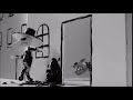 Annoying Orange S Reaction Dog Attacks White Spy Covered With Black Paint