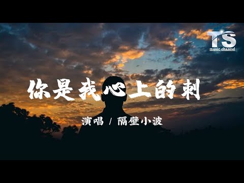 隔壁小波 - 你是我心上的刺 【动态歌词/Pinyin Lyrics】Ge Bi Xiao Bo - Ni Shi Wo Xin Shang De Ci