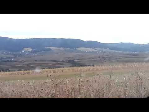 grumazesti - ghindaoani