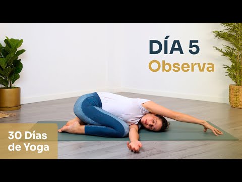 Day 5 - OBSERVE | Therapeutic Yoga to Cultivate Mental Calm | 30-Day Yoga Challenge