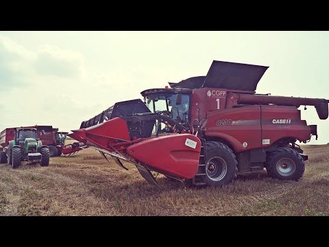 hqdefault Wielkie żniwa 2016 w CGFP   kombajny Case IH w pszenicy   VIDEO