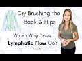 Dry Brushing The Back And Hips The Direction Of Lymphatic Flow Shorts