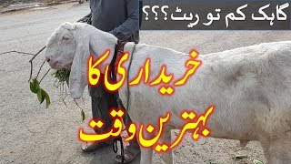 Bakra mandi sindh - मुफ्त ऑनलाइन वीडियो सर्वश्रेष्ठ सिनेमा 