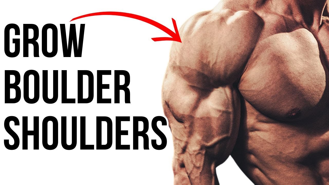 How to Train Middle Delts - The Anatomy of Lifting