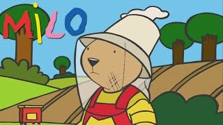 Milo the fearless one! | Cartoon for kids