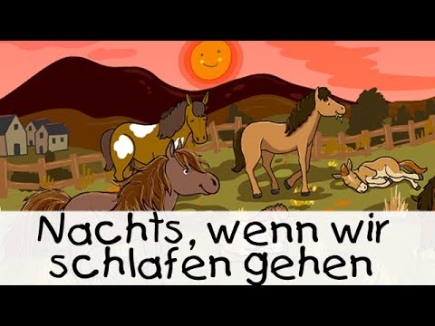 😴 Nachts, wenn wir schlafen gehen || Geschichten für Kinder