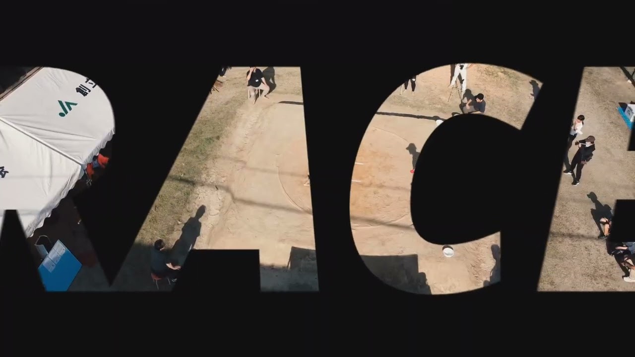 子ども相撲大会