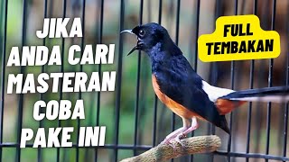 Download lagu MASTERAN MURAI BATU FULL ISIAN TEMBAKAN PANJANG MATERI MEWAH KESUKAAN JURI mp3