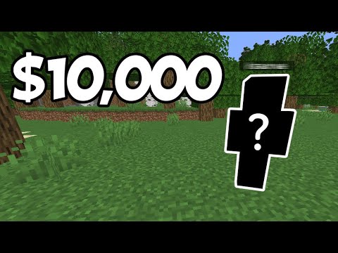 Most Expensive Minecraft Account
