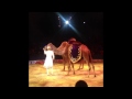 Big Apple Circus Metamorphosis Fall 2014