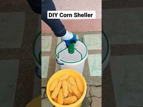 Farm Hack: Adding corn grits to your chickens'diet is an excellent energy booster.