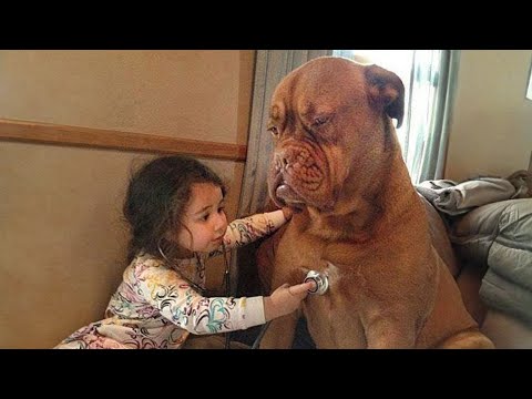 Quand votre chien et votre petit ami prennent soin l'un de l'autre