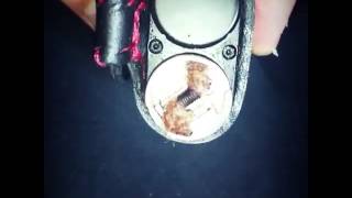 【VAPE】「WANKO RDA」レビュー。猿でもわかる30秒レビュー動画