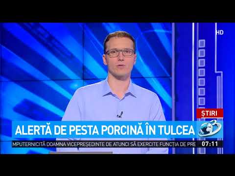 Alertă de pesta porcină în cinci sate din Tulcea