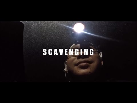 KAYUD SEAMAN // SCAVENGING