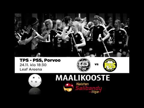 Maalikooste N1 TPS - PSS 24.11.2016