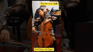 Download lagu サン=サーンス《白鳥》(動物の謝肉祭より)Saint-Saëns „Le Cygne“ #チェロ #ピアノ #サン=サーンス#白鳥#saintsaens #cygne #swan mp3 Download lagu サン=サーンス《白鳥》(動物の謝肉祭より)Saint-Saëns „Le Cygne“ #チェロ #ピアノ #サン=サーンス#白鳥#saintsaens #cygne #swan mp3