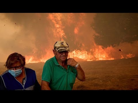 Protestierende fordern zentrale Kontrolle der Waldbrände in Spanien