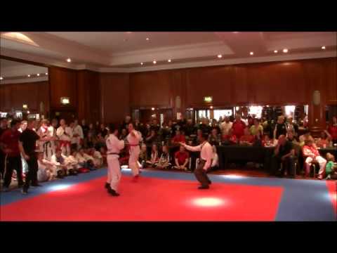 World Championships 2014 Finals Karate Kumite(17) female 29th August