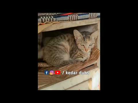 #COMEDY 🤣 31 DECEMBER NAKICH BAGHA BHAVAN NO