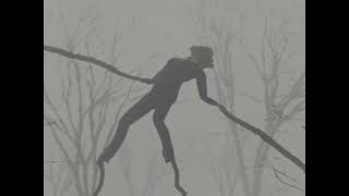 ARGENT ARBRE ARGENT | Short film