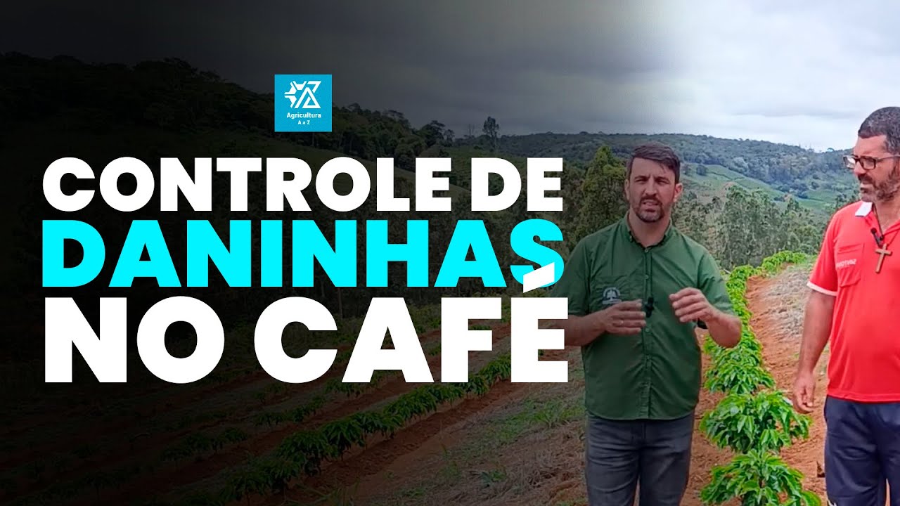 SAIBA COMO CONTROLAR PLANTAS DANINHAS NO CAFÉ