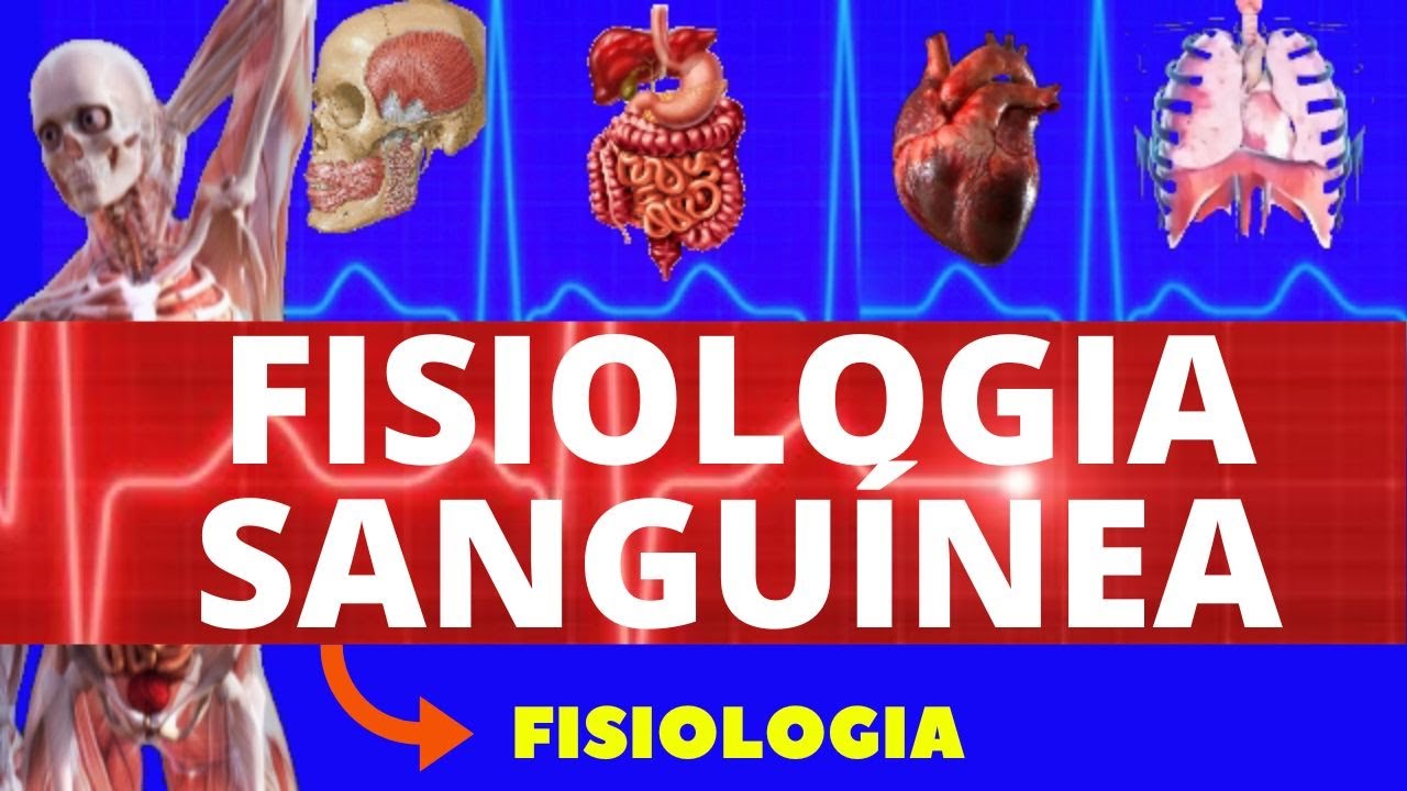 FISIOLOGIA SANGUÍNEA - FISIOLOGIA DE GUYTON (COMPOSIÇÃO DO SANGUE) - FISIOLOGIA HUMANA