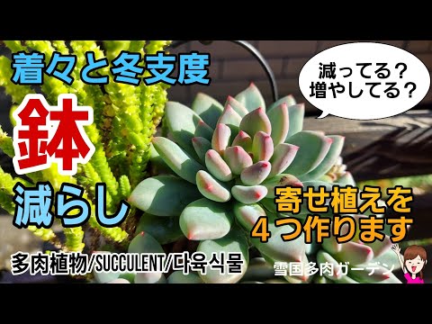 冬にキョウチクトウを鉢に入れる方法は？冬に備えて寒さや霜から守るための3つのヒント?  庭園