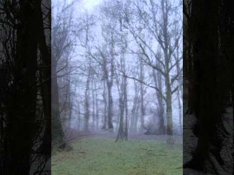 Spirit of the West  -political