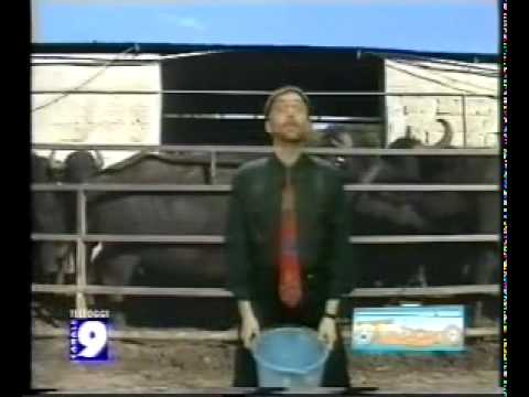 Tony Tammaro - Tiene 'e ccorna