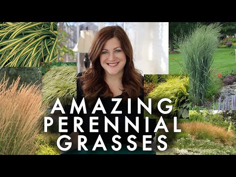 10 Perennial Grasses I Absolutely Love! 🌾💚// Garden Answer