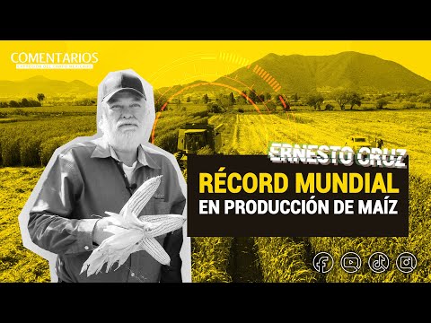 World record for corn production 🌽 | Ernesto Cruz