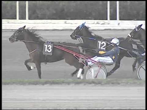 Trotto 27/01/2015 - 5° Corsa