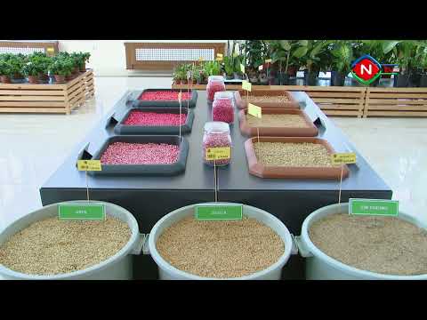 2021-ci ildə Naxçıvan Muxtar Respublikasının sosial-iqtisadi inkişafı - 01.02.2022