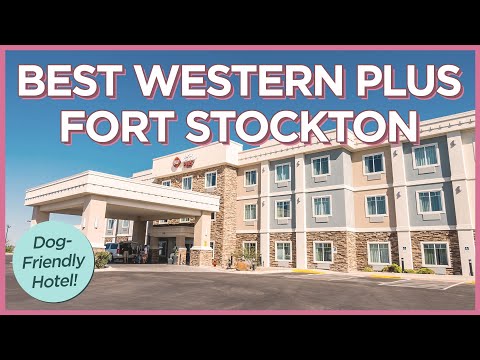 德州Best Western Plus Fort Stockton的寵物友好型酒店。