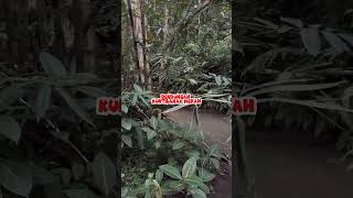 Download lagu Misteri kuntilanak mata merah di bendungan angker #explore #mystical #horror #kuntilanak mp3
