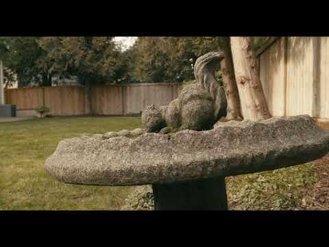Maple Valley "Katesridge" 2 Story property video