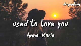 Anne-Marie - Used To Love You (Lyrics)