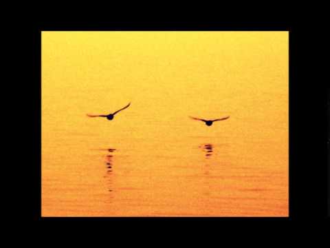 The Birds - Tim Harvey