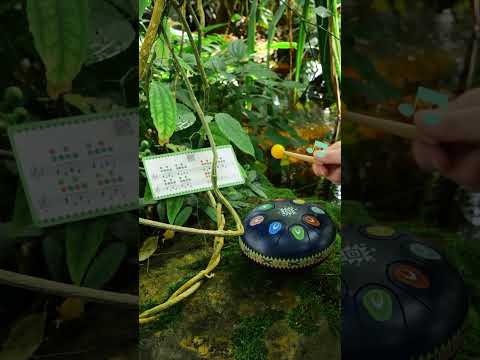 A metal drum to soothe yourself with music! - DJ06035 | DJECO