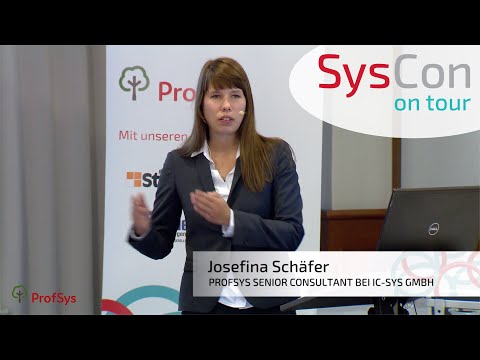 Das Strukturmodell SIS® in der Praxis – Wie es angenommen wurde