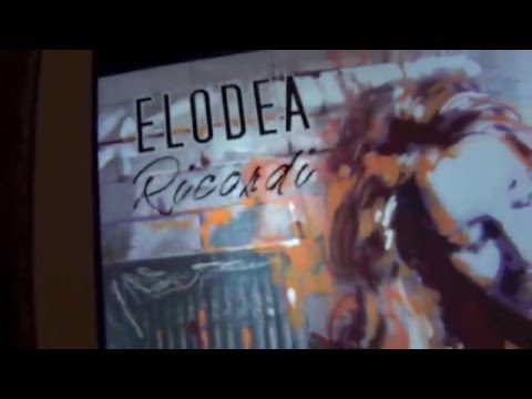 Elodea promo New album 