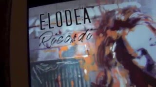 Elodea promo New album 