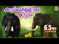 കാട്ടിലുള്ളൊരു കാട്ടാന | Animation Song Malayalam | Kattillulloru Katana | Ele