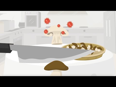 Commestibilità dei funghi: non è tutto oro ciò che luccica